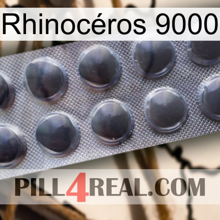 Rhinocéros 9000 30